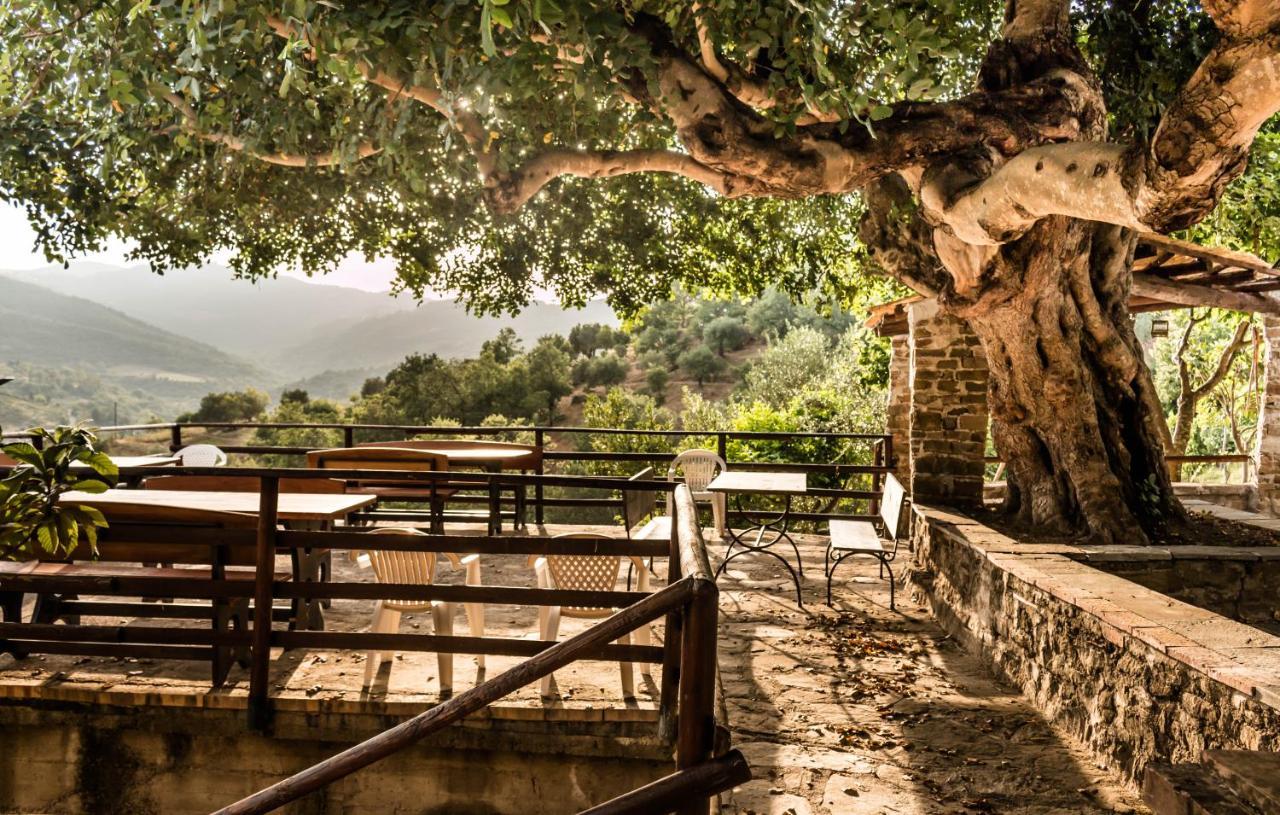 Casale I Cirillo Bed & Breakfast Rutino ภายนอก รูปภาพ