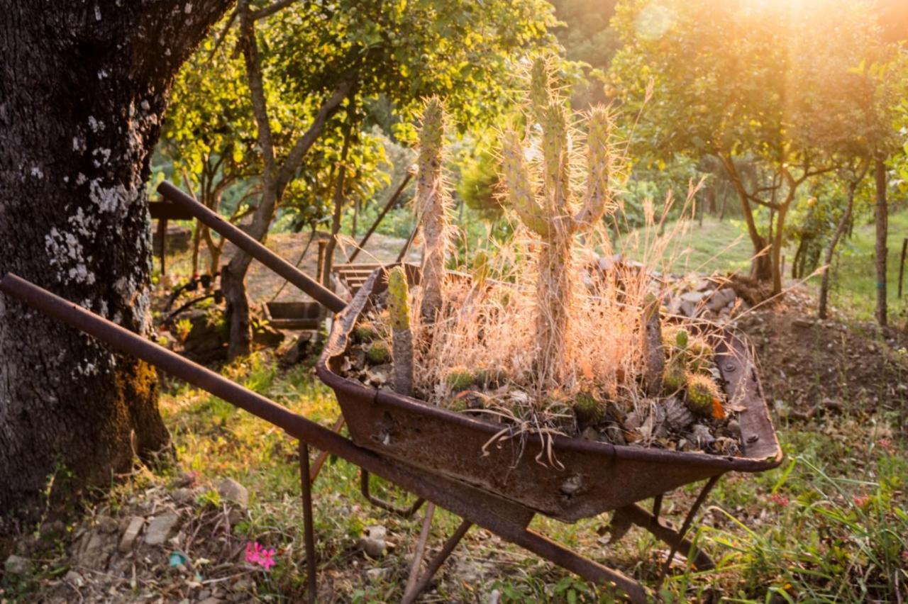 Casale I Cirillo Bed & Breakfast Rutino ภายนอก รูปภาพ