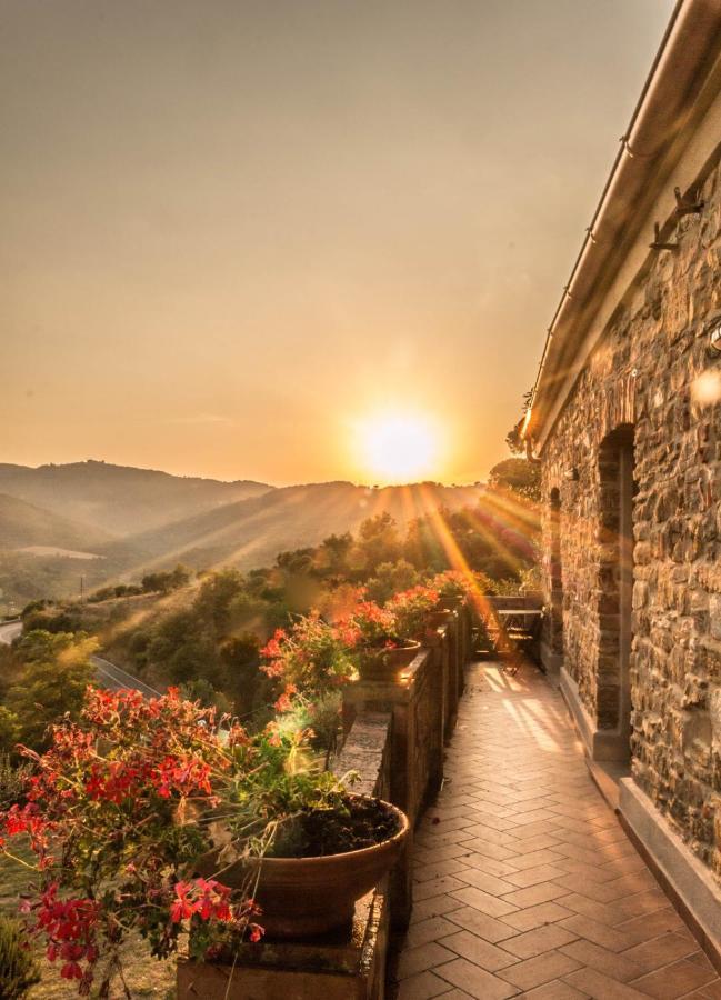 Casale I Cirillo Bed & Breakfast Rutino ภายนอก รูปภาพ