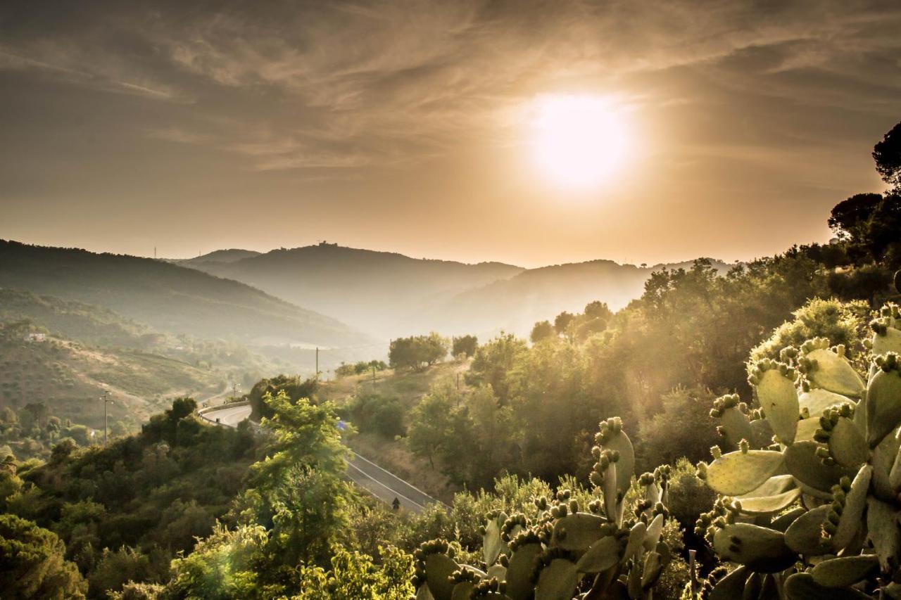 Casale I Cirillo Bed & Breakfast Rutino ภายนอก รูปภาพ