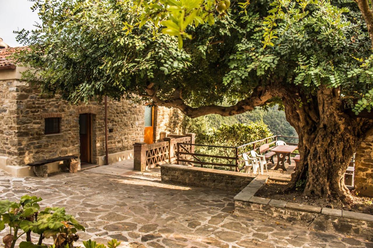 Casale I Cirillo Bed & Breakfast Rutino ภายนอก รูปภาพ