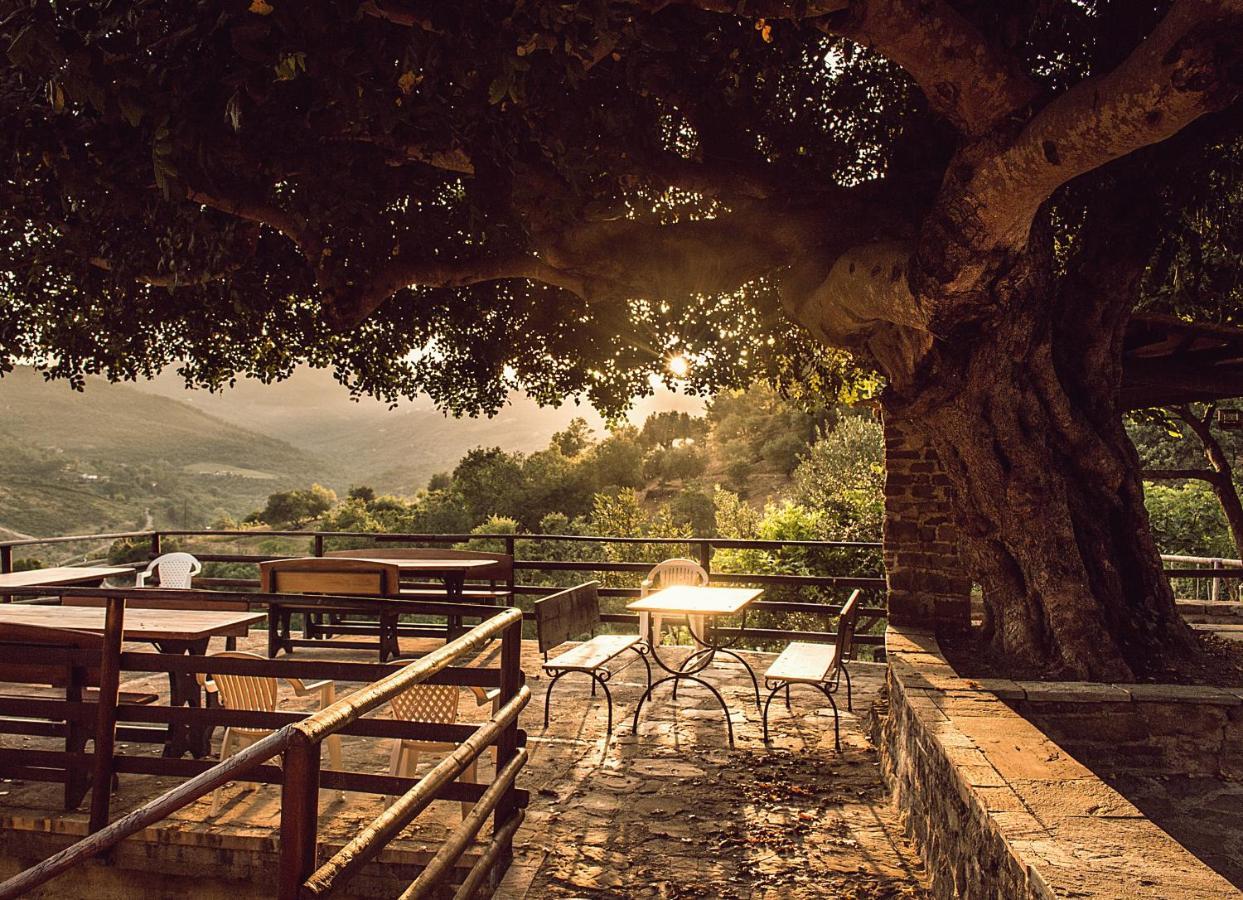 Casale I Cirillo Bed & Breakfast Rutino ภายนอก รูปภาพ