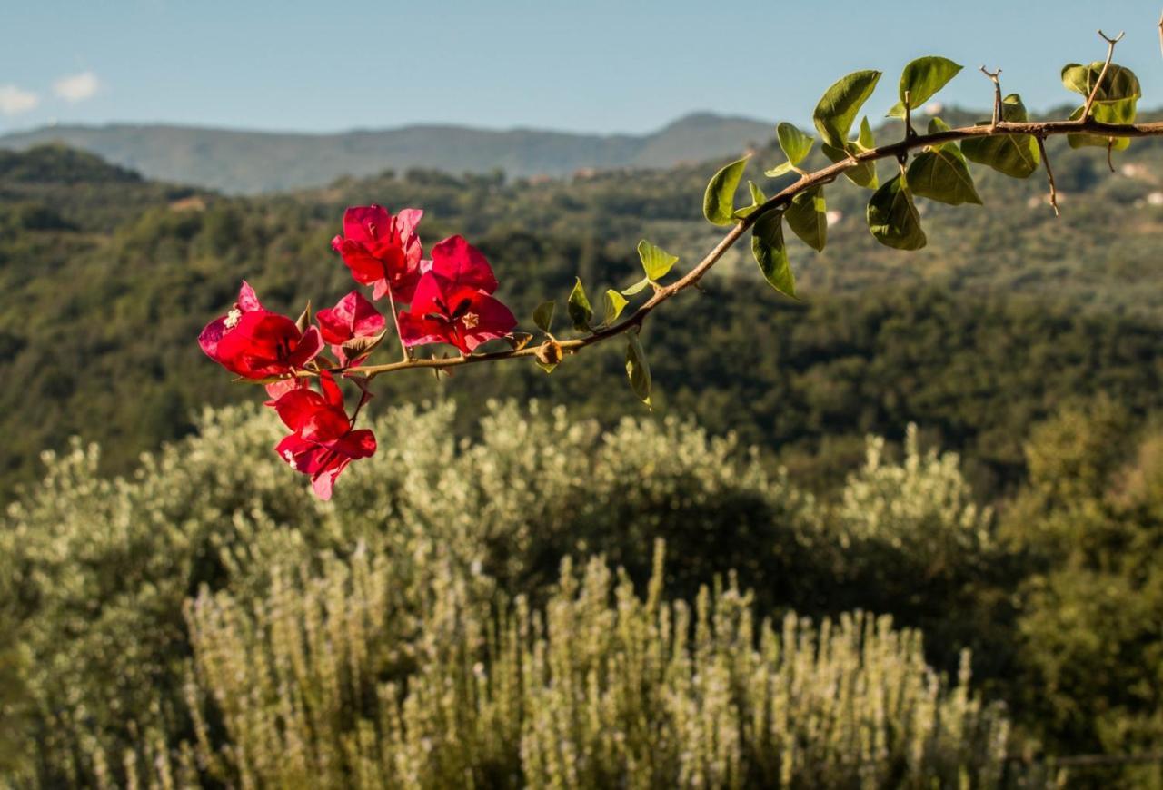 Casale I Cirillo Bed & Breakfast Rutino ภายนอก รูปภาพ