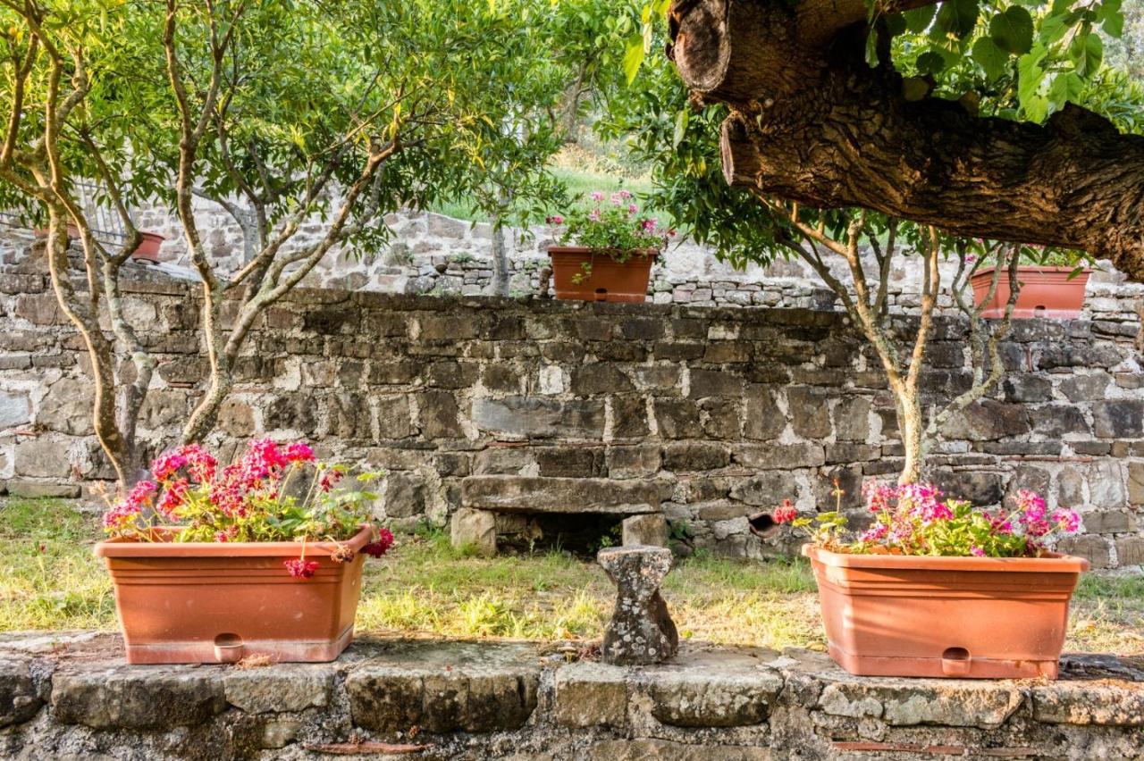 Casale I Cirillo Bed & Breakfast Rutino ภายนอก รูปภาพ