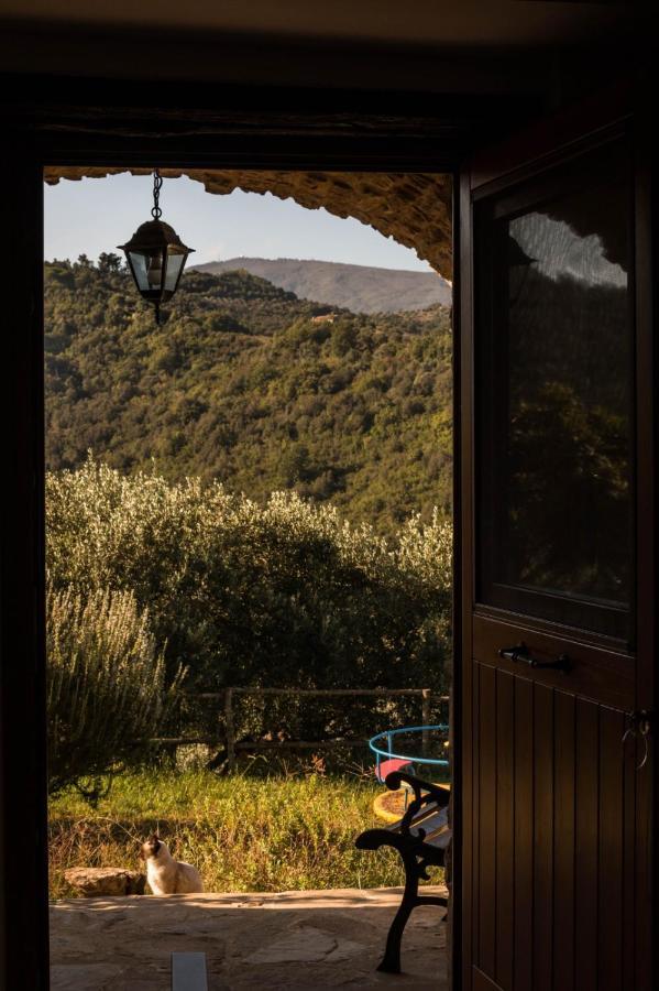 Casale I Cirillo Bed & Breakfast Rutino ภายนอก รูปภาพ