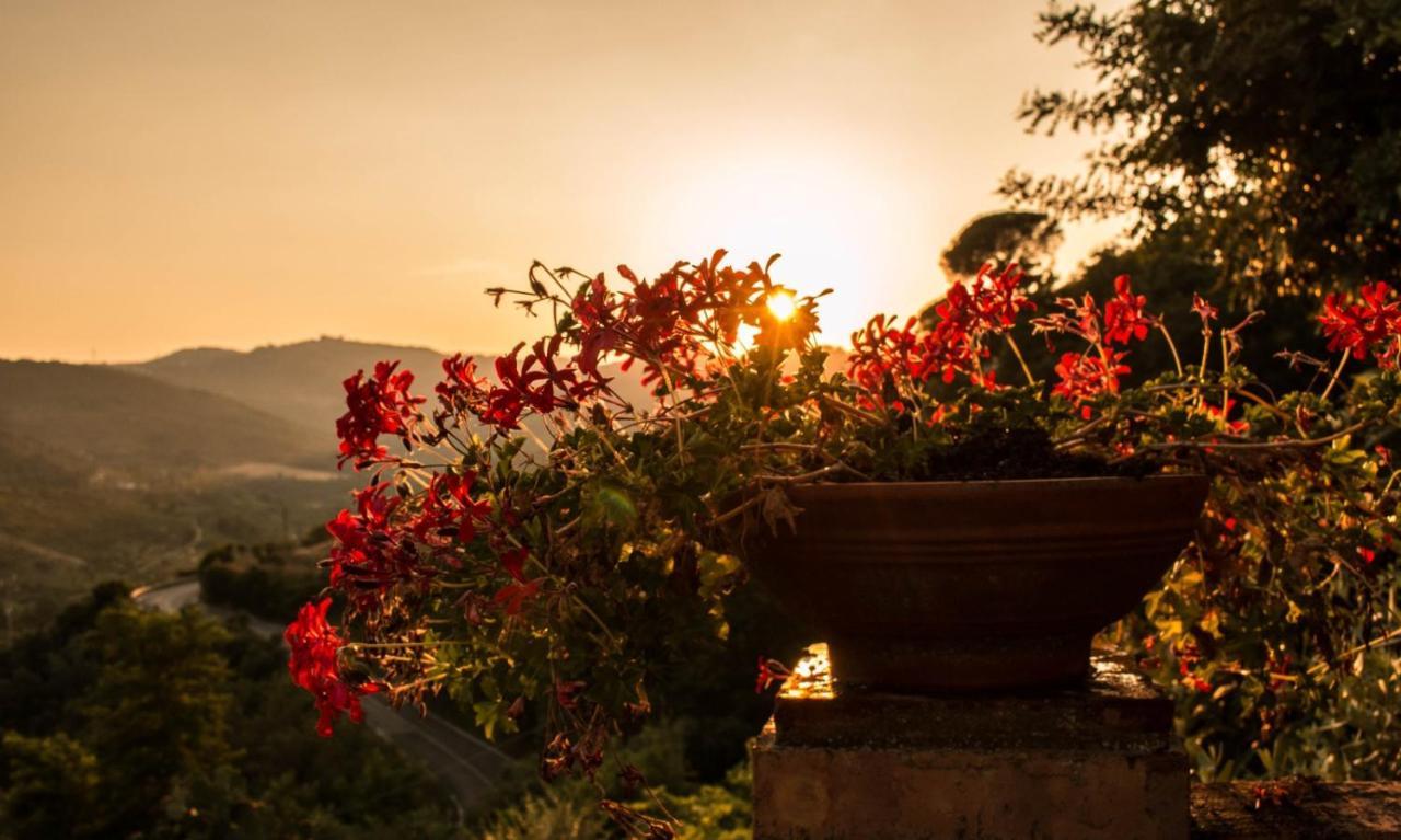 Casale I Cirillo Bed & Breakfast Rutino ภายนอก รูปภาพ