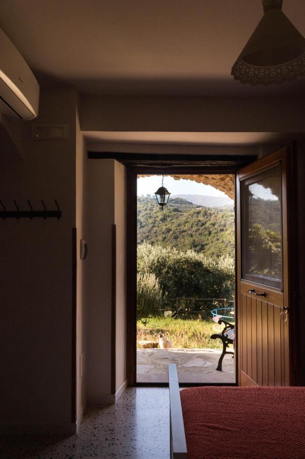 Casale I Cirillo Bed & Breakfast Rutino ภายนอก รูปภาพ