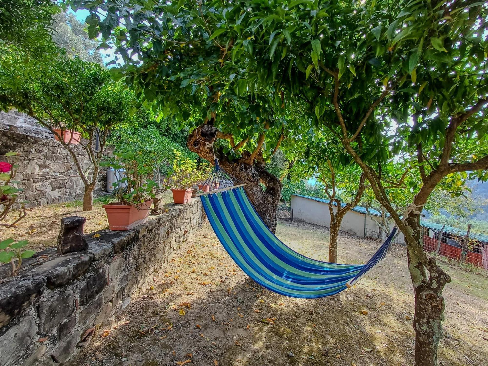 Casale I Cirillo Bed & Breakfast Rutino ภายนอก รูปภาพ